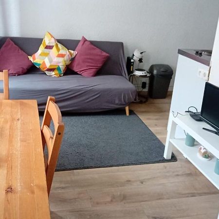 Hyper Centre Strasbourg Apartment Ngoại thất bức ảnh